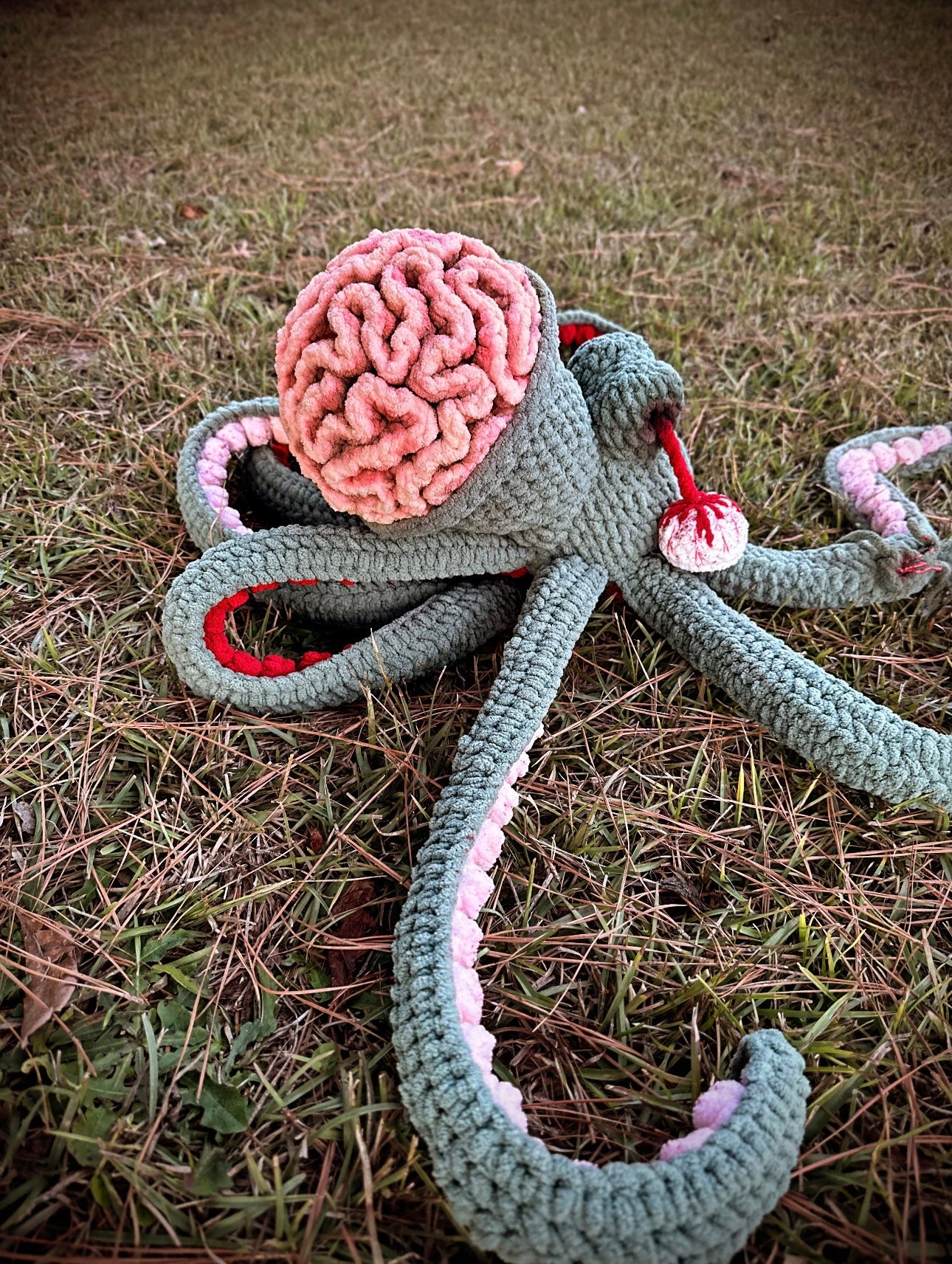 Anchor Needs Brains!