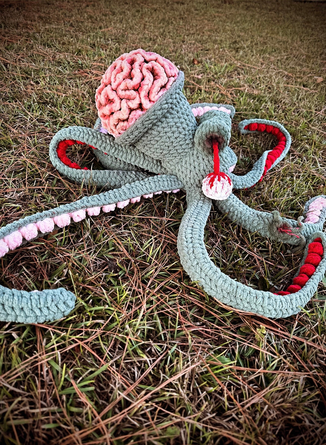 Anchor Needs Brains!