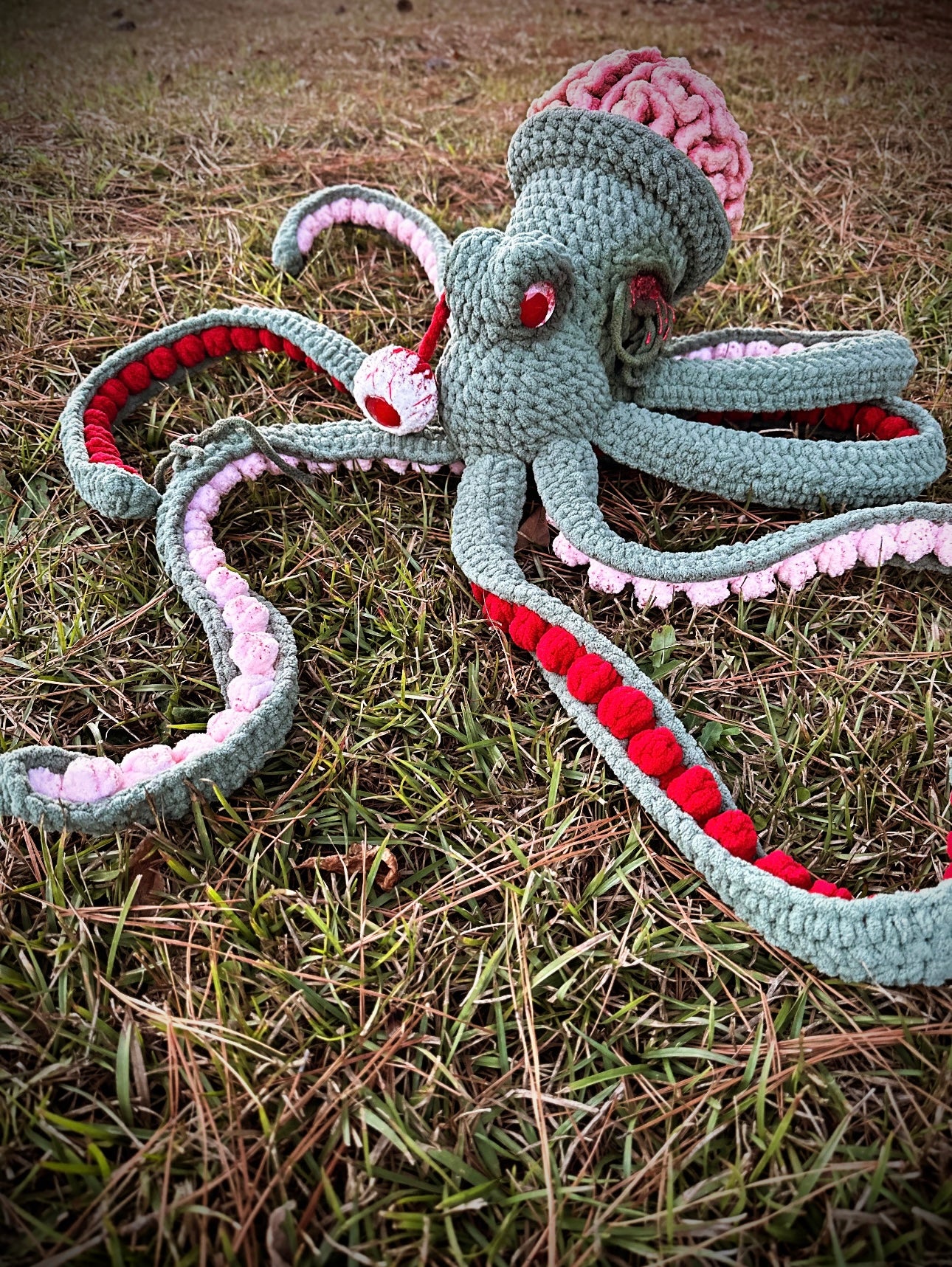 Anchor Needs Brains!